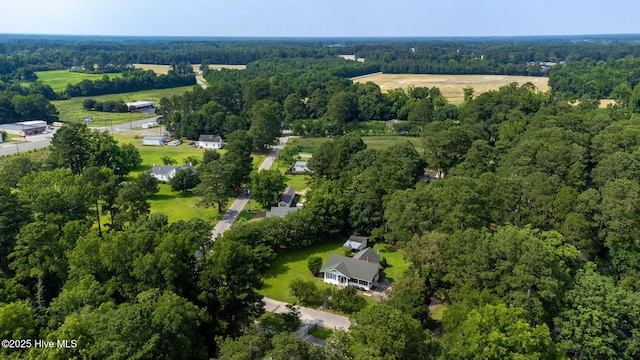 148 N Mitchell Ford Rd, Clarkton, NC 28433 - aerial view of property and surrounding area featuring a forest
