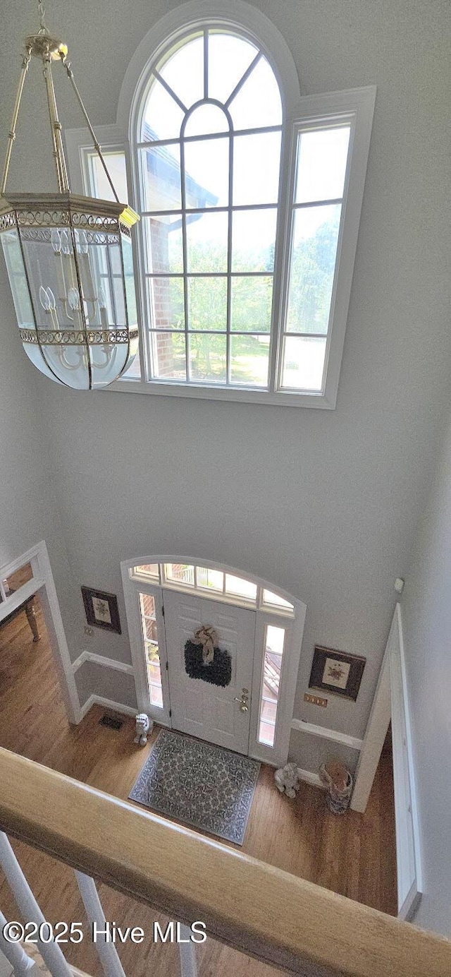 3129 Lake Pointe Trl, Rocky Mount, NC 27804 - foyer featuring wood finished floors, plenty of natural light, and a chandelier