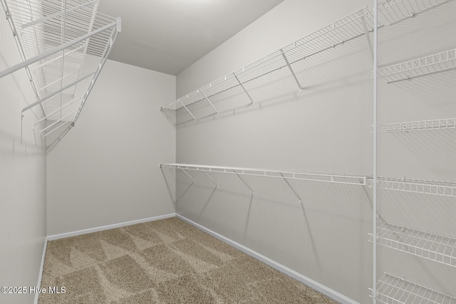 231 Glenhaven Ln, Jacksonville, NC 28546 - spacious closet featuring carpet