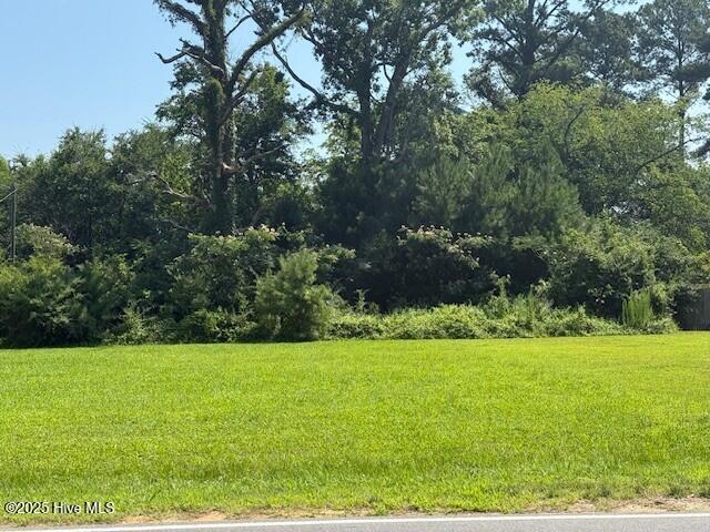 513 Hall Siding Rd, Ahoskie, NC 27910 - view of green lawn