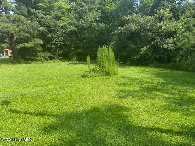 513 Hall Siding Rd, Ahoskie, NC 27910 - view of grassy yard