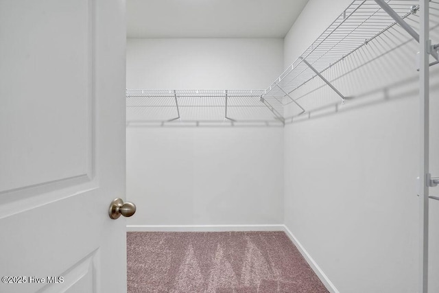 6353 Rye Grass Rd Lot 458, Castle Hayne, NC 28429 - walk in closet with carpet floors