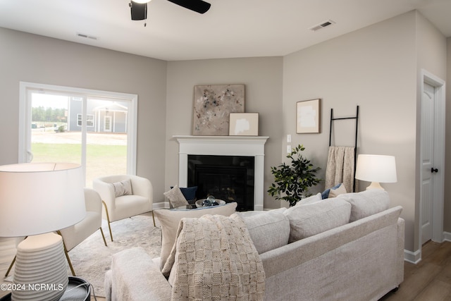 301 Glassmine Trl Unit 48, Aberdeen, NC 28315 - living area featuring wood finished floors, ceiling fan, and a glass covered fireplace