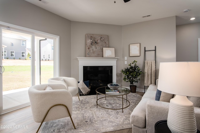 301 Glassmine Trl Unit 48, Aberdeen, NC 28315 - living room featuring light wood-type flooring, a glass covered fireplace, and ceiling fan