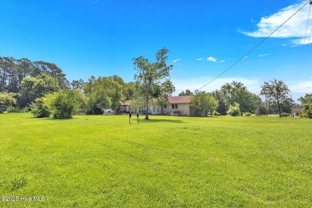 198 Verona Rd, Jacksonville, NC 28540 - view of grassy yard
