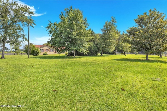 198 Verona Rd, Jacksonville, NC 28540 - view of grassy yard