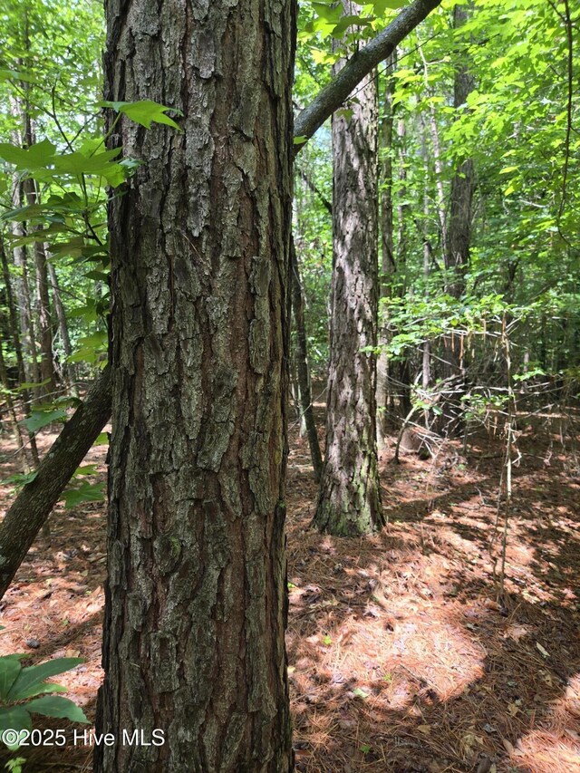 0 Ballard Rd, Williamston, NC 27892