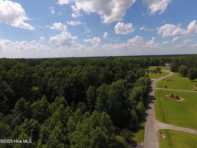 359 Whites Crossing Ln Unit 3, Whiteville, NC 28472