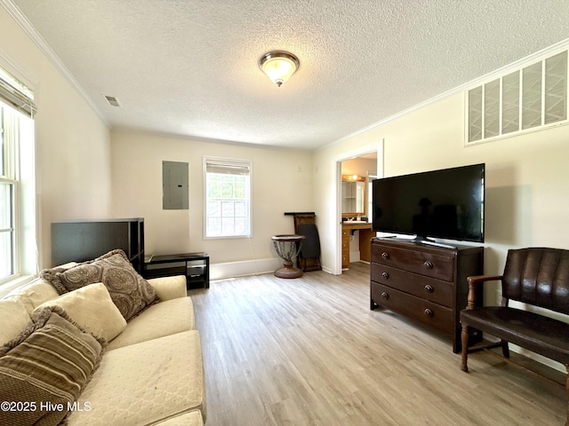 226 Community Rd, Lillington, NC 27546 - living area featuring electric panel, ornamental molding, light wood-style floors, and a textured ceiling