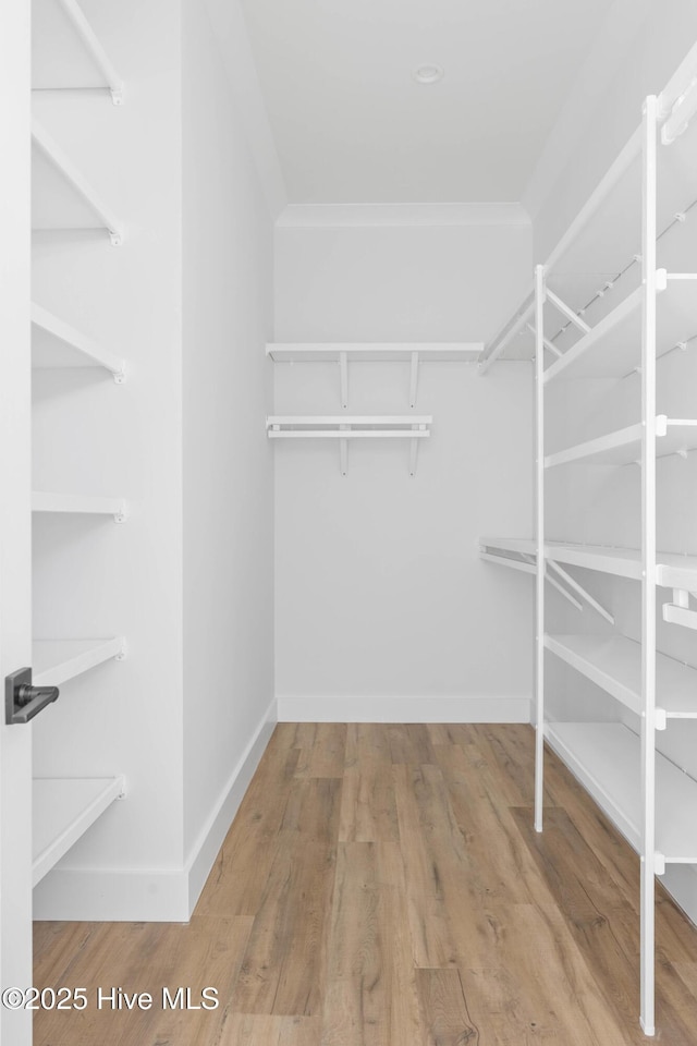 1320 Searay Ln, Carolina Beach, NC 28428 - walk in closet with wood finished floors