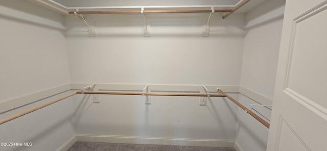 196 Asheberne Dr, Washington, NC 27889 - spacious closet featuring carpet flooring