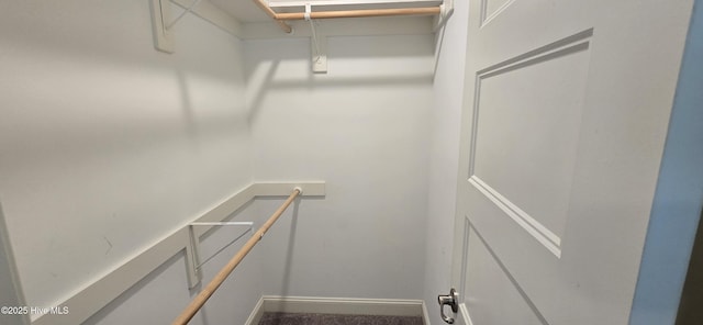 196 Asheberne Dr, Washington, NC 27889 - view of spacious closet