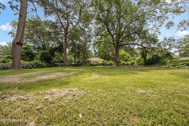 1955 Banks School Rd, Kinston, NC 28504 - view of grassy yard