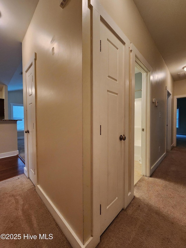 205 Channel Marker Loop, Swansboro, NC 28584 - corridor featuring carpet flooring and baseboards