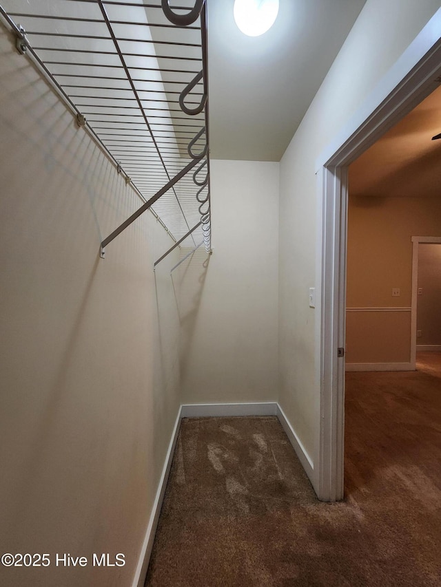 205 Channel Marker Loop, Swansboro, NC 28584 - spacious closet featuring carpet flooring