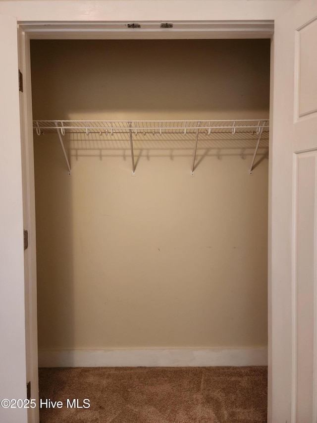 205 Channel Marker Loop, Swansboro, NC 28584 - view of closet