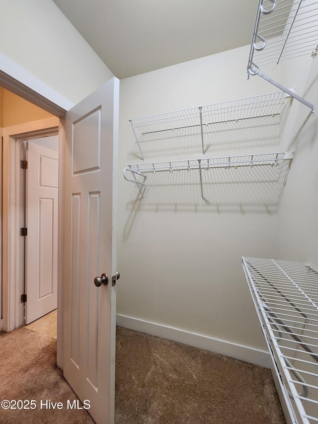 205 Channel Marker Loop, Swansboro, NC 28584 - walk in closet with carpet flooring
