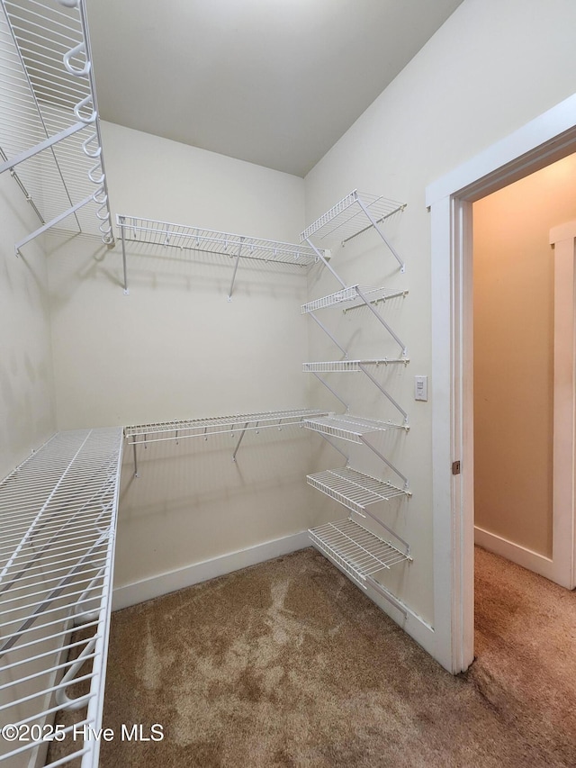 205 Channel Marker Loop, Swansboro, NC 28584 - spacious closet with carpet