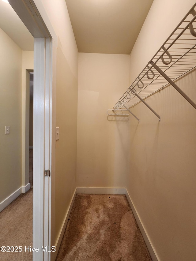 205 Channel Marker Loop, Swansboro, NC 28584 - walk in closet featuring carpet floors