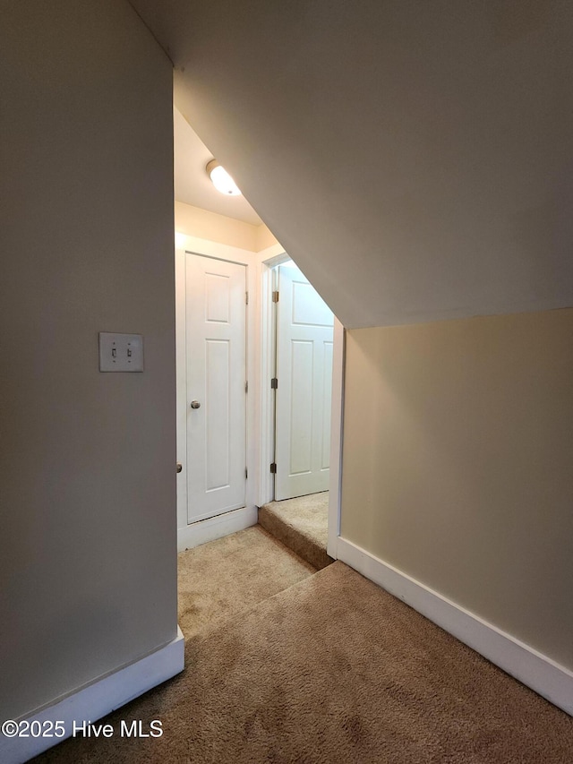 205 Channel Marker Loop, Swansboro, NC 28584 - bonus room with carpet and baseboards