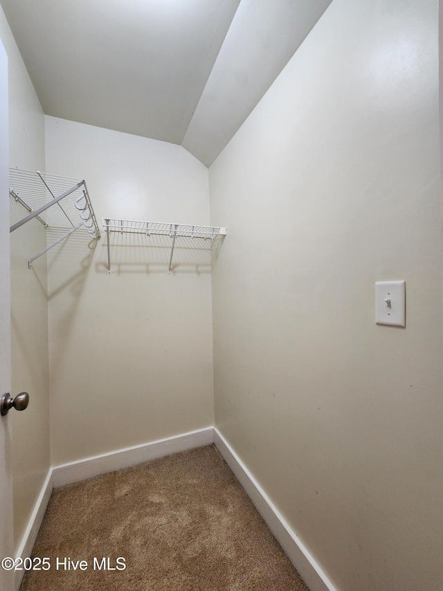 205 Channel Marker Loop, Swansboro, NC 28584 - spacious closet with carpet
