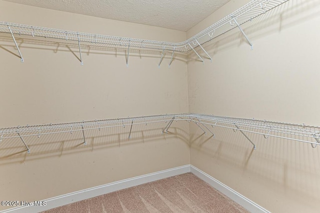 3 S Ct, Pinehurst, NC 28374 - walk in closet featuring carpet flooring