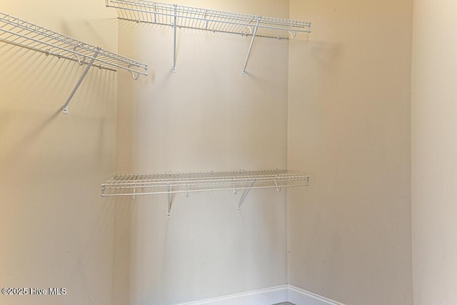 3 S Ct, Pinehurst, NC 28374 - view of walk in closet