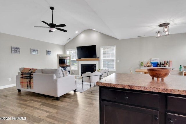 939 Dynamo Ln, Jacksonville, NC 28546 - living area with vaulted ceiling, a ceiling fan, light wood-style flooring, and a fireplace