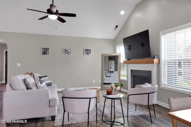 939 Dynamo Ln, Jacksonville, NC 28546 - living area featuring arched walkways, wood finished floors, ceiling fan, high vaulted ceiling, and a fireplace