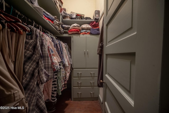 900 Nash St N, Wilson, NC 27893 - walk in closet with wood finished floors