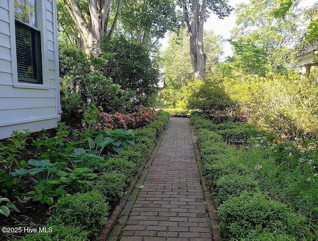 900 Nash St N, Wilson, NC 27893 - view of yard