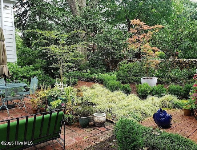 900 Nash St N, Wilson, NC 27893 - view of yard featuring a patio