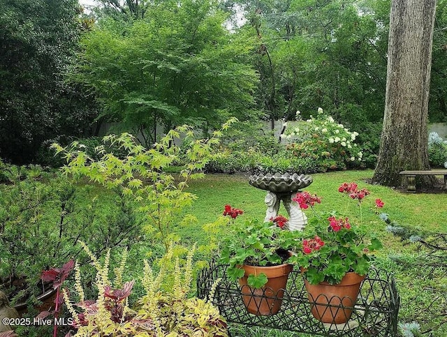 900 Nash St N, Wilson, NC 27893 - view of yard