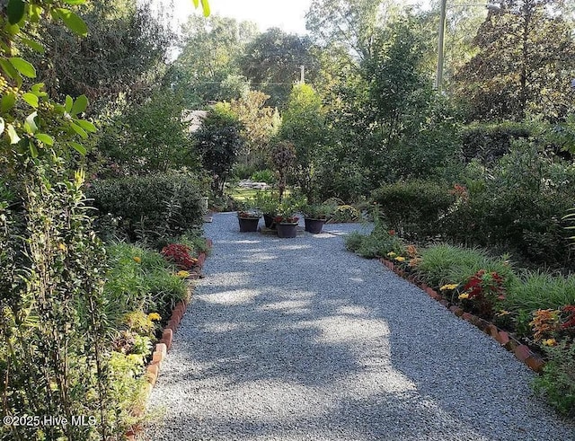 900 Nash St N, Wilson, NC 27893 - surrounding community