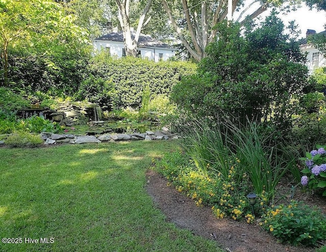 900 Nash St N, Wilson, NC 27893 - view of green lawn