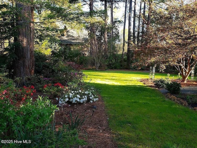 900 Nash St N, Wilson, NC 27893 - view of green lawn