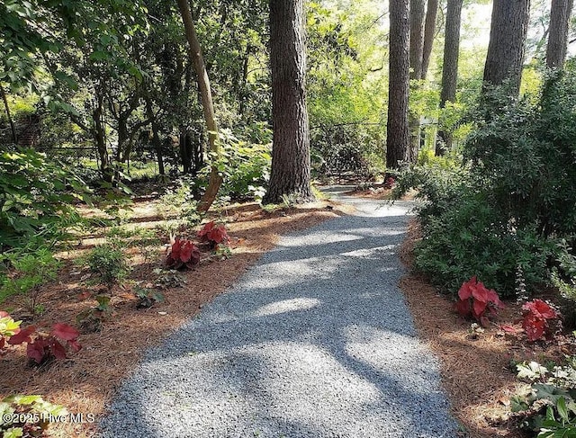 900 Nash St N, Wilson, NC 27893 - view of street with a view of trees