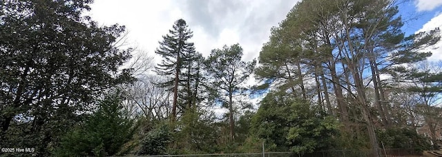 900 Nash St N, Wilson, NC 27893 - view of local wilderness