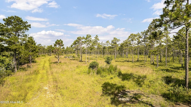 34.38AC Stag Dr, Hampstead, NC 28443