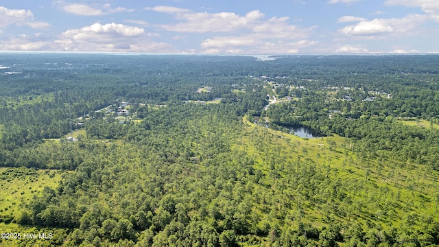 34.38AC Stag Dr, Hampstead, NC 28443