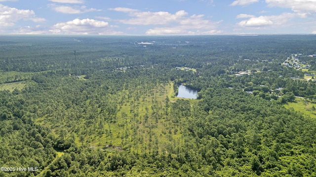 34.38AC Stag Dr, Hampstead, NC 28443