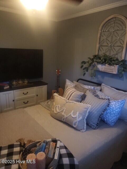 2262 Old Oak Rd, Kinston, NC 28504 - carpeted living room with crown molding