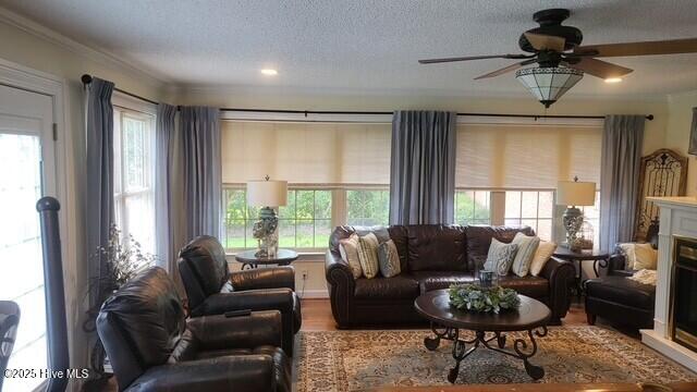 2262 Old Oak Rd, Kinston, NC 28504 - living area featuring wood finished floors, crown molding, a ceiling fan, a textured ceiling, and a fireplace