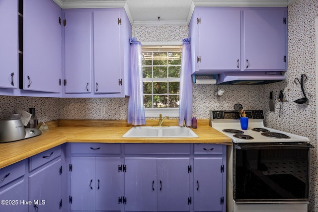 1710 National Ave, New Bern, NC 28560 - kitchen with electric range, ornamental molding, under cabinet range hood, blue cabinets, and tasteful backsplash