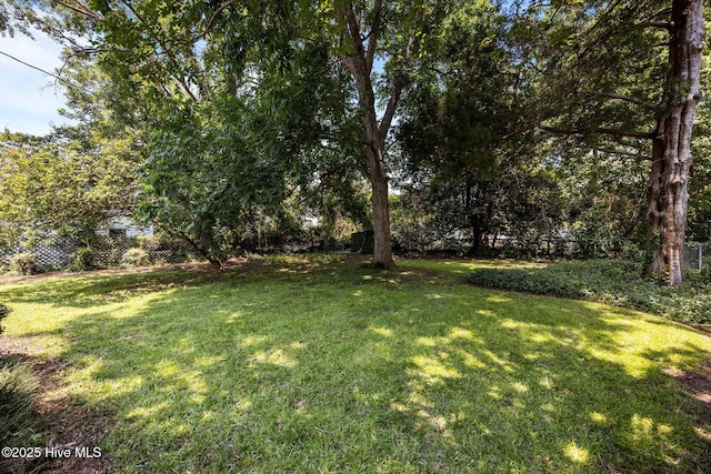 1710 National Ave, New Bern, NC 28560 - view of grassy yard