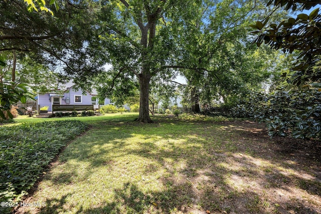 1710 National Ave, New Bern, NC 28560 - view of green lawn with a wooden deck