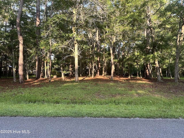 1784 Oak St SW Unit 65, Ocean Isle Beach, NC 28469