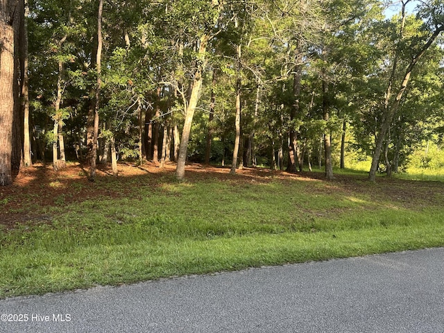 1792 Oak St SW Unit 64, Ocean Isle Beach, NC 28469