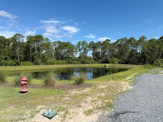449 Motts Forest Rd Unit 64R, Wilmington, NC 28412 - water view