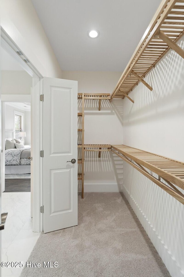 449 Motts Forest Rd Unit 64R, Wilmington, NC 28412 - spacious closet featuring light carpet